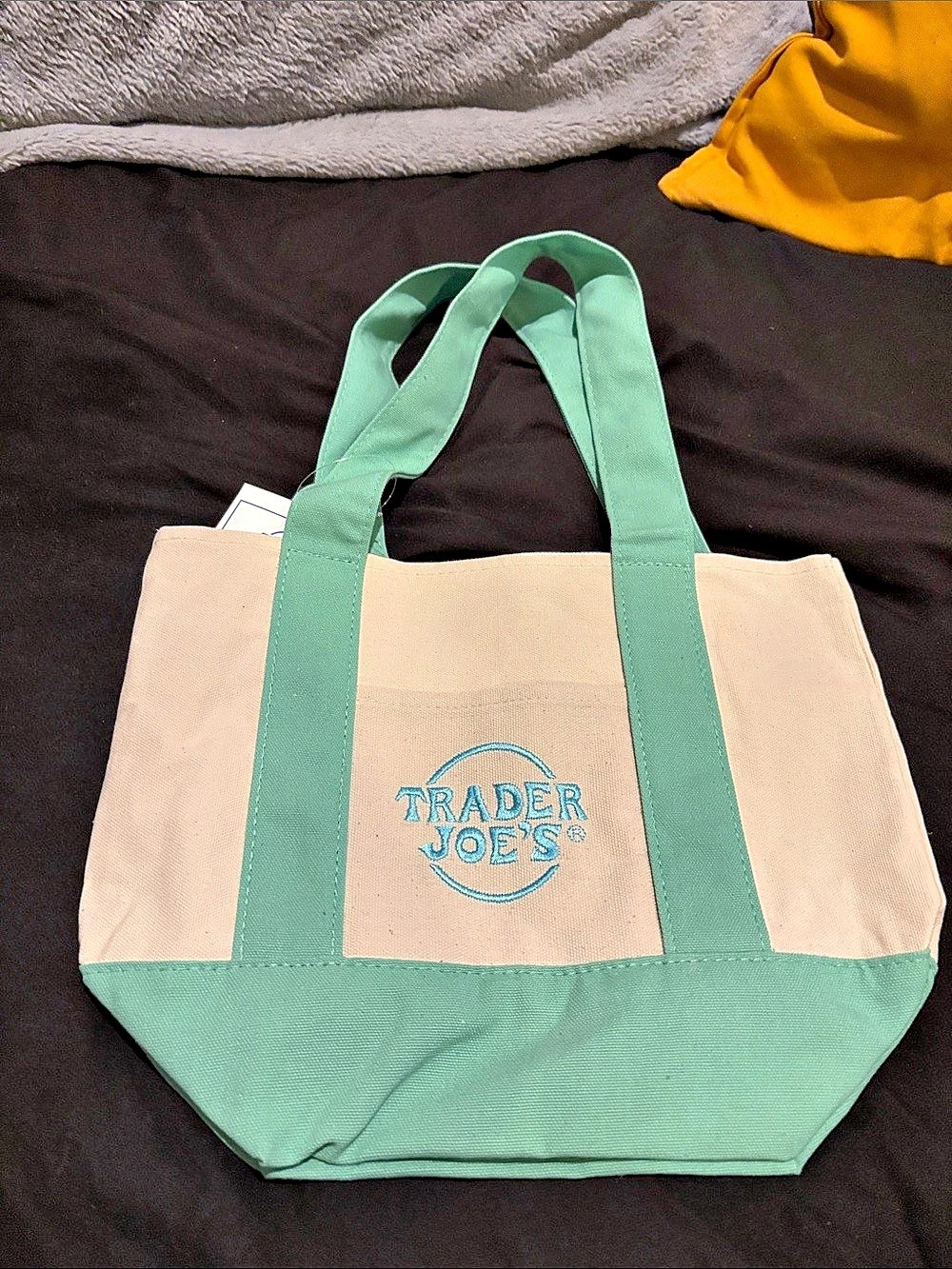 Trader Joe's Mini Pastel Canvas Tote Bag Green & Cream Canvas Tote